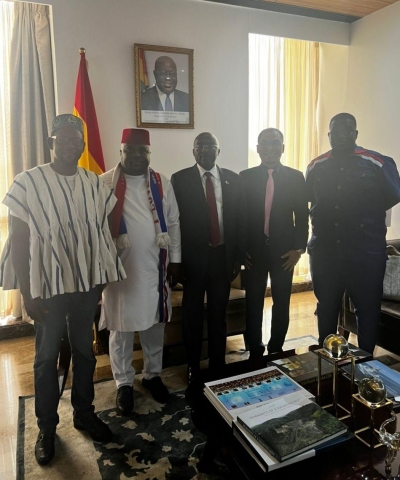 Dr. Tedam and partners call on Vice President Bawumia