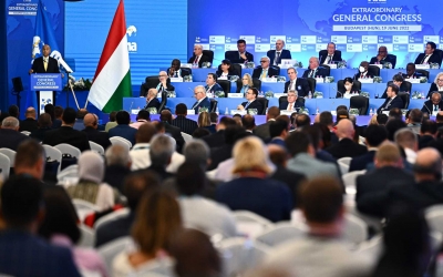 FINA has established a working group to create an open category